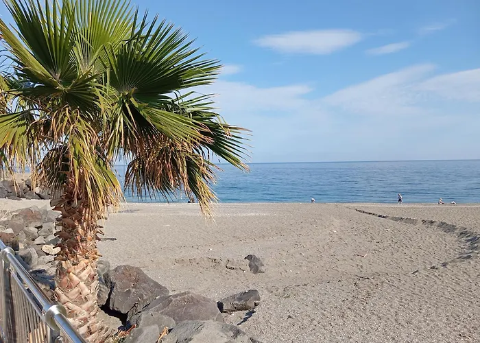 Angelica アパート