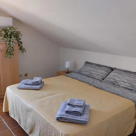 Angelica * גיארדיני נאקסוס